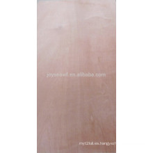 1220 * 2440mm 1250 * 2500mm contrachapado del material diverso